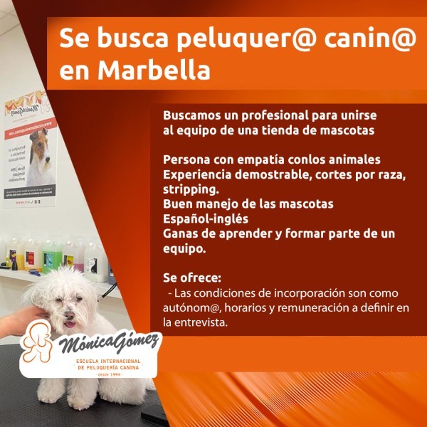 Se busca Peluquer@ Canin@ en Marbella (Málaga) (id:496)(clon-491)