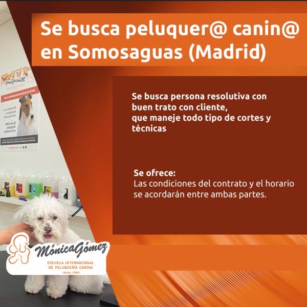 Se busca Peluquer@ Canin@ en Somosaguas Madrid