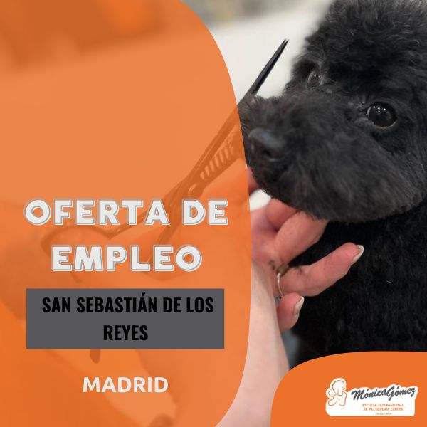Oferta para peluquero canino autónomo San Sebastián de los Reyes
