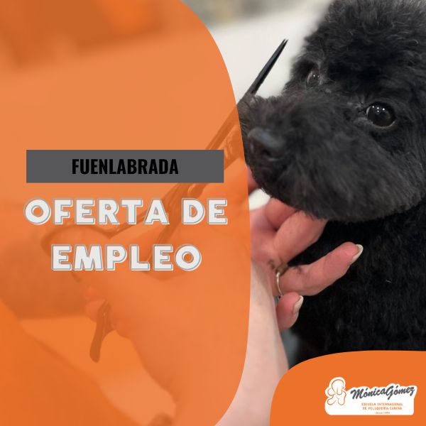 Oferta para profesional autónomo en Fuenlabrada