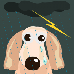 Ruidos y tormentas: los miedos de los perros
