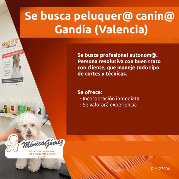 Se busca Peluquer Canin en Gandía Valencia Escuela de peluquería