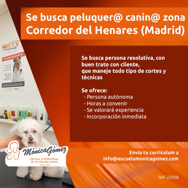 Se Busca Peluquer Canin En Corredor De Henares Madrid Escuela De