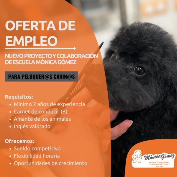 Nueva Bolsa de Empleo para Peluqueros Caninos