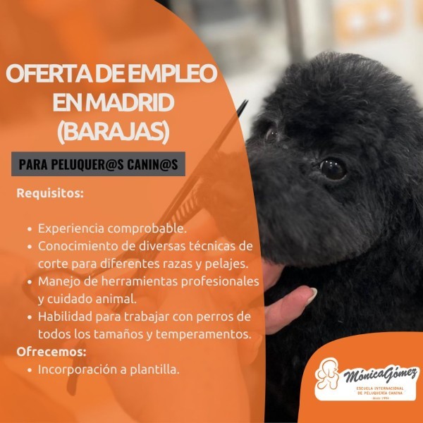 Se necesita groomer canino en Barajas