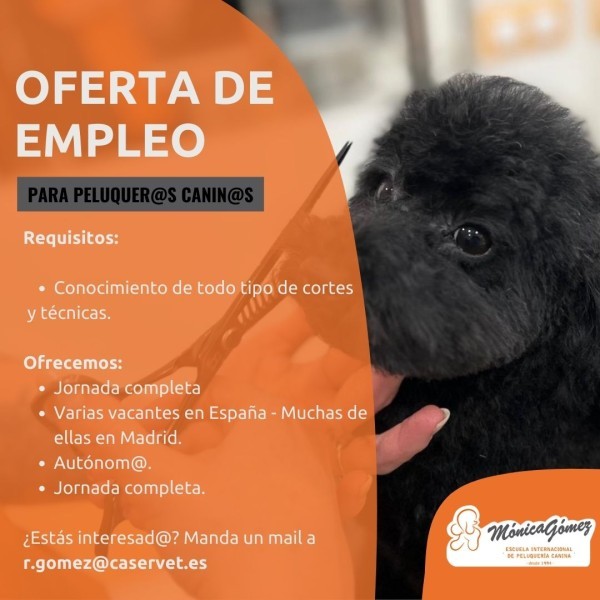 Se busca Porfesional de peluqueria canina en varias provincias