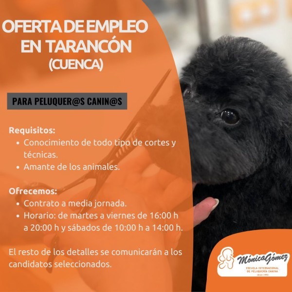 Se busca Porfesional de peluqueria canina en Tarancón