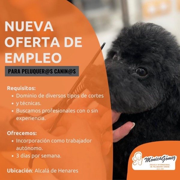 Se busca Groomer Canino en Alcala de Henares