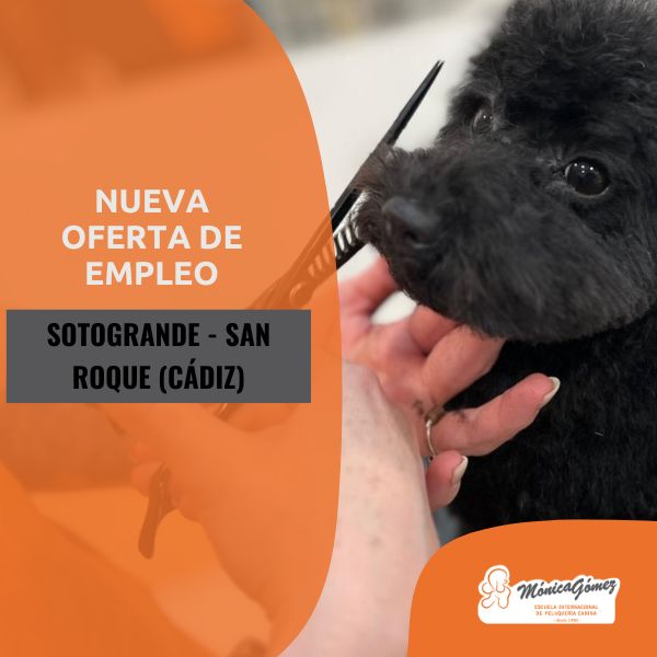 Oferta de empleo en Sotogrande