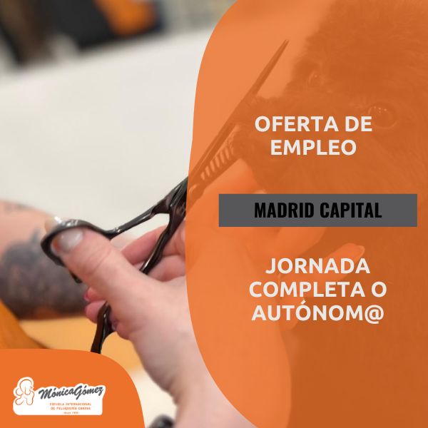 Oferta Jornada completa en Madrid