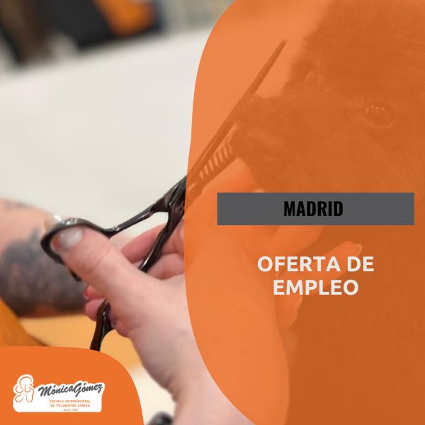 Nueva oferta de empleo para Madrid