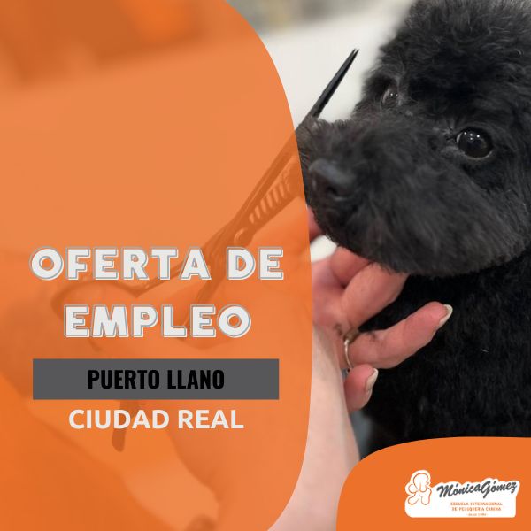 Oferta de empleo peluquero canino en Puertollano