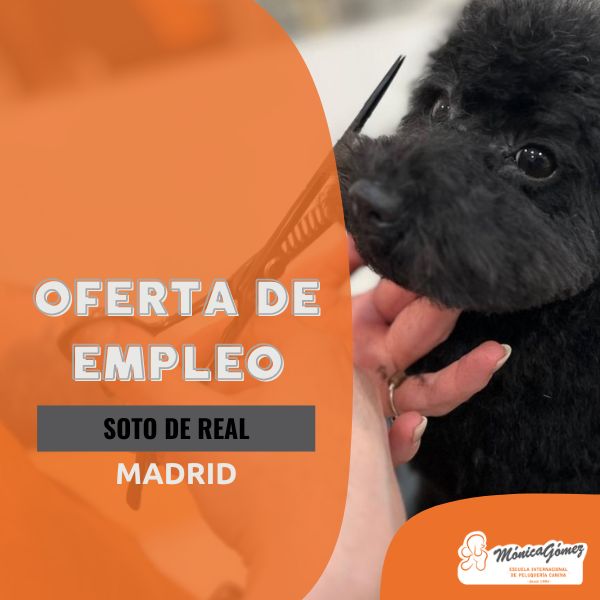 Oferta para grooming canino en Soto del Real