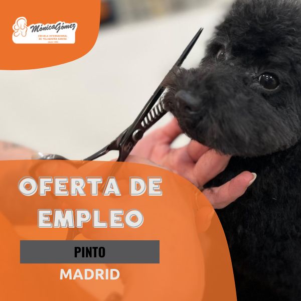 Oferta para peluquero canino autónomo en Pinto